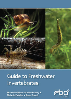 freshwater aquatic invertebrates